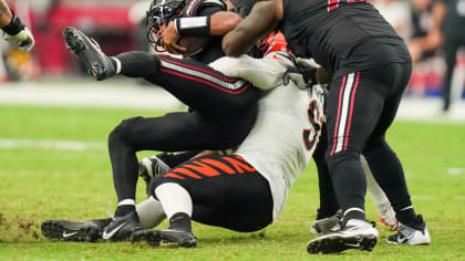 Bengals drop first look at repainted field for 'White Bengal