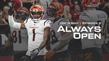 NFL uniform power rankings: Where the Bengals' New Stripes stand - Cincy  Jungle