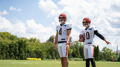 Bengals kicker McPherson, wife expecting first child