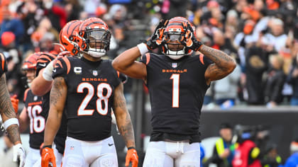 Bengals Top Plays  Week 14 Bengals Highlights vs. Cleveland Browns