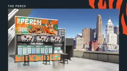 Paycor Stadium  Cincinnati Bengals 