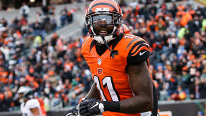 10 Facts About the Cincinnati Bengals - refactoid