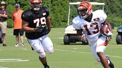 Cincinnati Bengals rookie WR Auden Tate impresses at minicamp