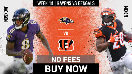 Everything fans need to know attending Sunday's game between Baltimore and  Cincinnati on Nov. 10, 2019.