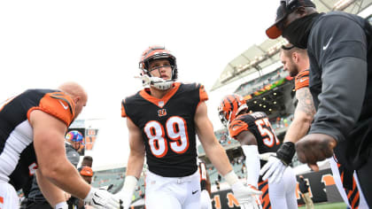 Cincinnati Bengals tight end Drew Sample (89) lines up for a play