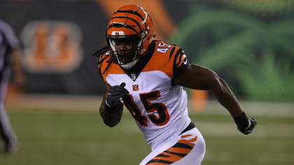 Former Bates athlete Sam Francis now crunching numbers for Cincinnati  Bengals