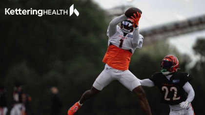 Cincinnati Bengals wide receiver Tee Higgins (85) during an NFL football  game against the New Orleans Saints, Sunday, Oct. 16, 2022, in New Orleans.  (AP Photo/Tyler Kaufman Stock Photo - Alamy