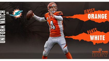 Cincinnati Bengals - Game Day Info- Dolphins at Bengals 