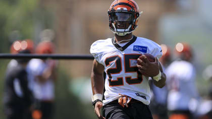 Ex-Michigan RB Chris Evans stars in new role during Bengals' Super Bowl run  