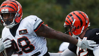 Bengals Quick Hits: Cordell Volson Shines, Dax Hill Picks Off