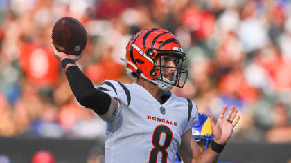 Cincinnati Bengals wide receiver Stanley Morgan (17) and