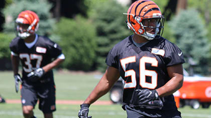 Bengals waive Hardy Nickerson to make room for Vontaze Burfict