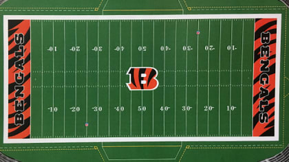 YouTheFan 953975 6 x 19 in. NFL Cincinnati Bengals 3D Stadium Banner - Paul Brown Stadium