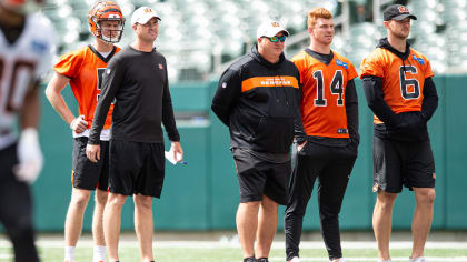 - Ickey Woods believes Andy Dalton is in a pivotal year as Bengals  QB