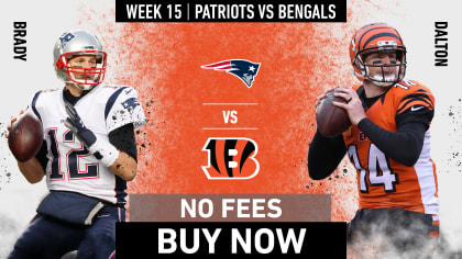 Everything fans need to know attending Sunday's game between the New  England Patriots and the Cincinnati Bengals on Sunday, Dec. 15, 2019