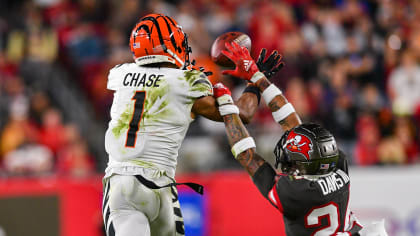 Akeem Davis-Gaither Stats, Profile, Bio, Analysis and More, Cincinnati  Bengals