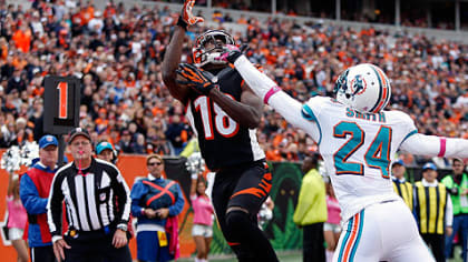 New England Patriots quarterback Tom Brady is sacked for a loss by Miami  Dolphins Koa Misi in second half action against the Miami Dolphins at Sun  Life Stadium in Miami on October