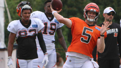 Ryan Finley shows promise in Bengals' first preseason game - Cincy Jungle