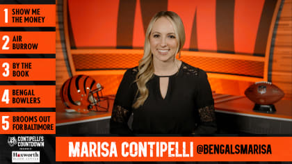 Marisa Contipelli on Twitter: AFC North Championship apparel