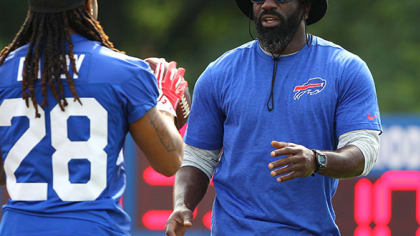 Ravens' Ed Reed carrying heavy load