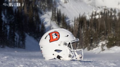 Bills Players Have a Snowball Fight After Practice [VIDEO]