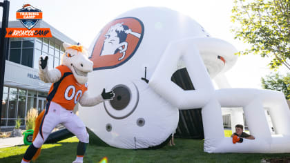 Super Bowl 2014 Video: Denver Broncos mascot Miles and Seattle