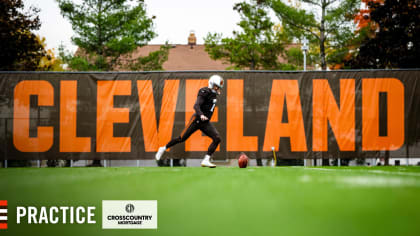 Cleveland Browns on X: fresh new wallpapers to match our fresh new look 