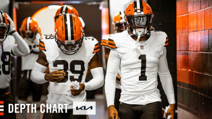 Cleveland Browns at Pittsburgh Steelers Matchup Preview 12/1/19: Analysis,  Depth Charts, Daily Fantasy