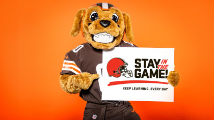 Cleveland Browns Corporate Headquarters Editorial Stock Image - Image of  center, design: 76697079