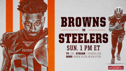 How to Watch Browns vs. Steelers Live on 01/08 - TV Guide