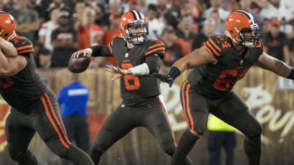 GO BROWNS!: Browns 2014 single-game tickets available to public starting  today