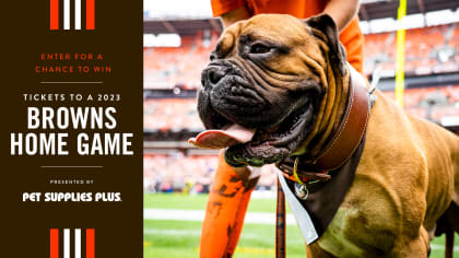 Barking Backers' officially welcomes Browns fans' dogs as members of the  Dawg Pound