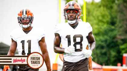 Austin Hooper, David Njoku, Harrison Bryant -- who is the Browns' No. 1  tight end? What we've learned at training camp -- Ellis L. Williams 