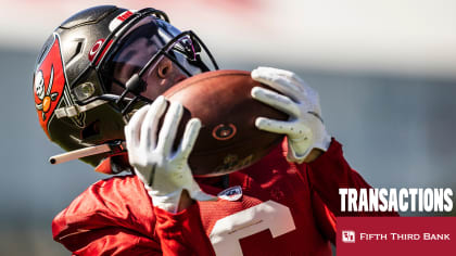 tampa bay buccaneers