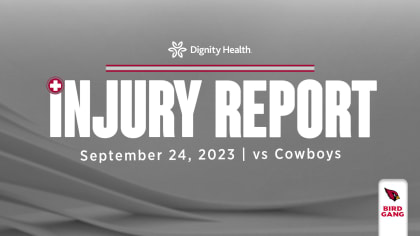 nfl playoff injury report