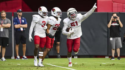 Cardinals Re-Signing QB Jeff Driskel To Practice Squad