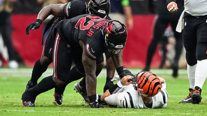 Arizona Cardinals sign former Tennessee Titans defensive lineman Kevin  Strong to one-year contract - Revenge of the Birds