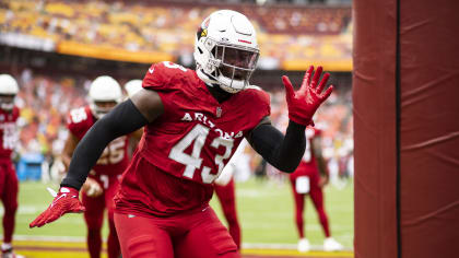 Arizona Cardinals running back Chase Edmonds (29) during an NFL football  game against the Miami Dolphins, Sunday, Nov. 8, 2020, in Glendale, Ariz.  (AP Photo/Rick Scuteri Stock Photo - Alamy