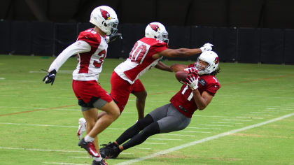 Retire? Cardinals' Larry Fitzgerald, Carson Palmer causing anxiety