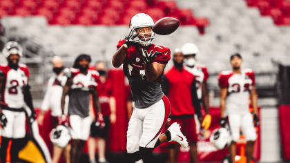 Arizona Cardinals 2020 Season Preview: Taking The Next Step Behind