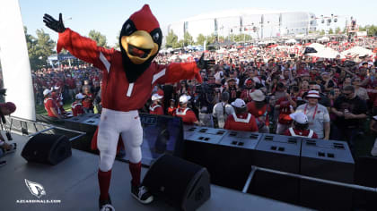 Arizona Cardinals' Big Red Ranks Among Favorite NFL Mascots