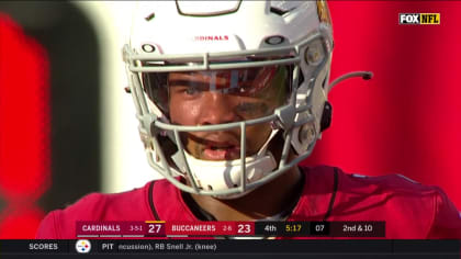 Arizona Cardinals' Andy Lee completes fake punt pass vs. Bucs