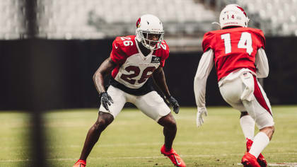 Bird Droppings: Arizona Cardinals first team looks sharp, starters ready  for the preseason, KeeSean Johnson continues to climb and more - Revenge of  the Birds