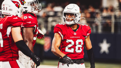 Arizona Cardinals running back Darrel Williams (24) runs with the ball  during an NFL football game against the Carolina Panthers, Sunday, Oct. 2,  2022, in Charlotte, N.C. (AP Photo/Brian Westerholt Stock Photo - Alamy