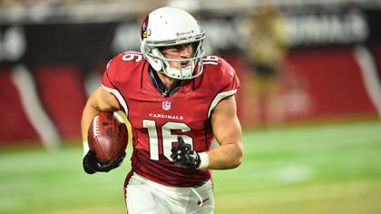 Tampa Bay Buccaneers add former Arizona Cardinals RB Andre