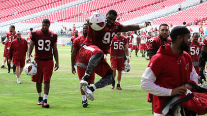 Arizona Cardinals' Andre Ellington, Jerraud Powers, Frostee Rucker out vs.  Minnesota Vikings