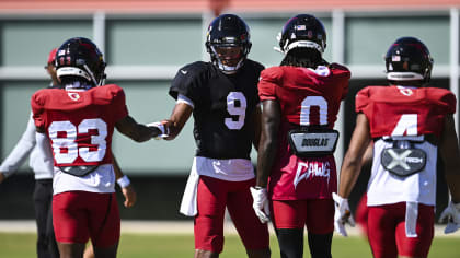 151,130 Arizona Cardinals Photos & High Res Pictures - Getty Images