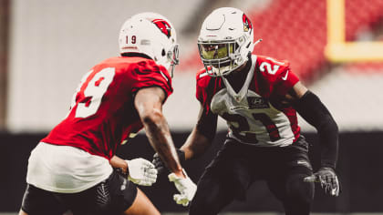 Arizona Cardinals 2020 Season Preview: Taking The Next Step Behind