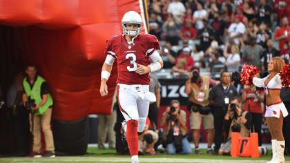 Carson Palmer trade: Cardinals-Raiders complete deal for veteran  quarterback 