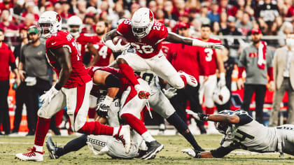 Cardinals photo journal recap of the 38-30 loss to the Seattle